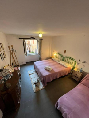 A P E house